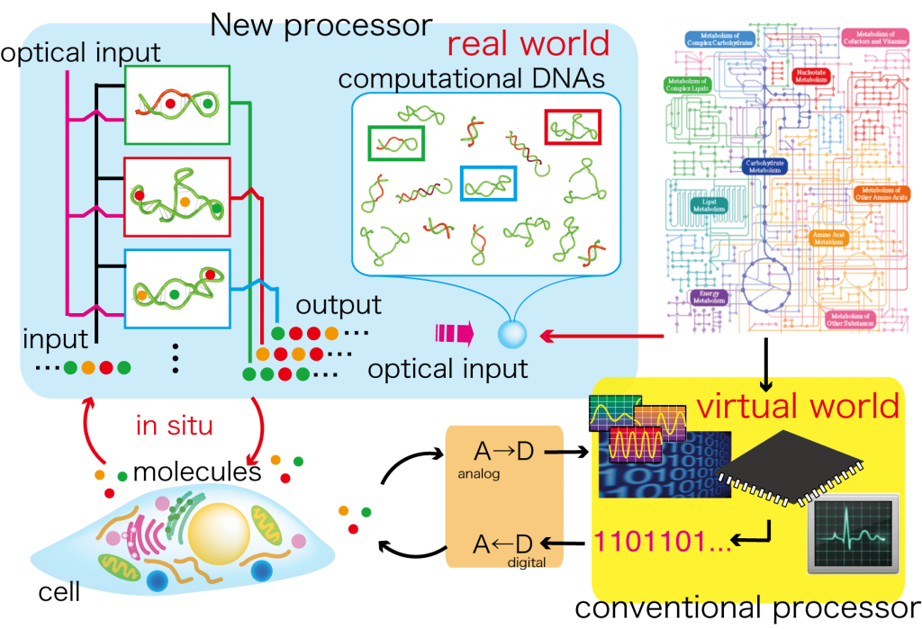 DNA_nanoprocessor