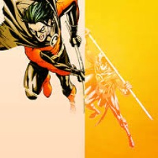 Robin
